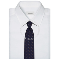 Ferragamo Silk Tie