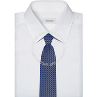Ferragamo Silk Tie