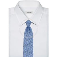 Ferragamo Silk Tie
