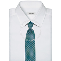 Ferragamo Silk Tie