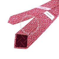 Ferragamo Silk Tie